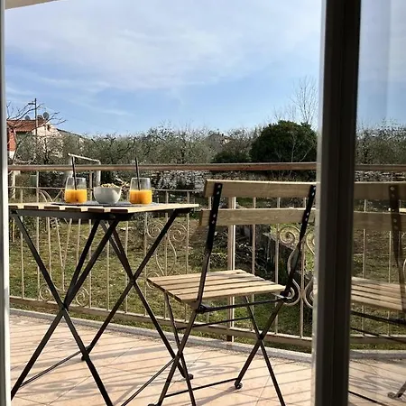 Lorun 47 Tar-Vabriga